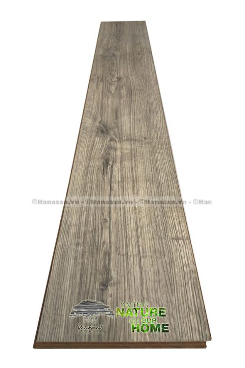 Sàn gỗ rainforest ir82 8mm