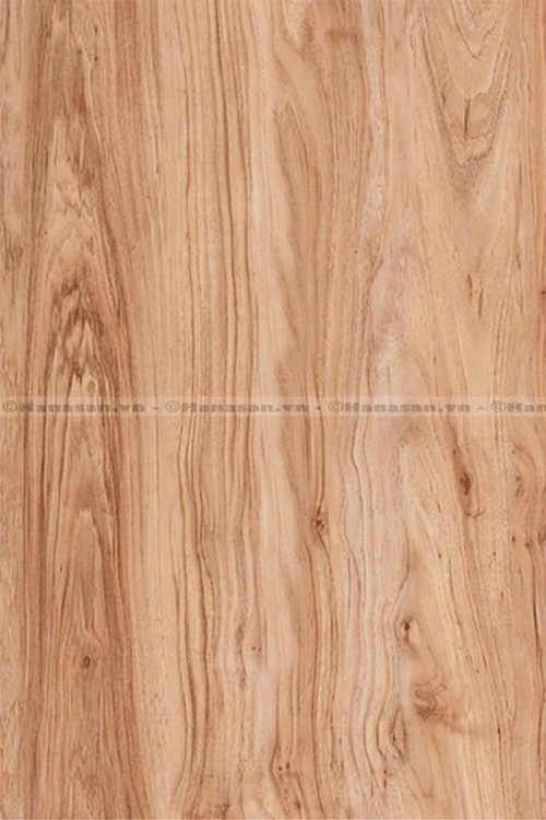 Sàn gỗ CA11 8mm