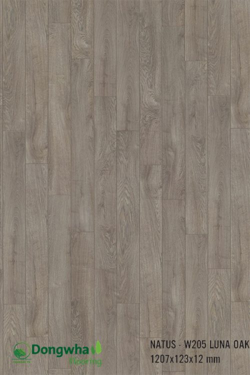 sàn gỗ dongwha natus w205 - nc005 12mm
